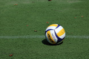 排球赛场焦点！西班牙队对阵比利时队，连胜纪录继续刷新，球队势不可挡-ky官方官网